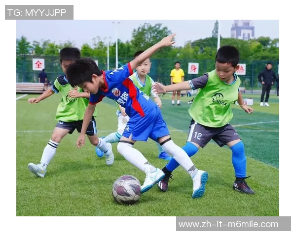 足球场的魅力与布局探索绿茵场上的激情与战术之美